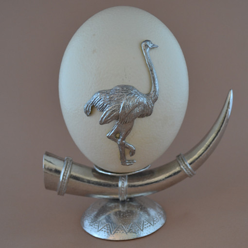 SingleTuskOstrichOnEgg